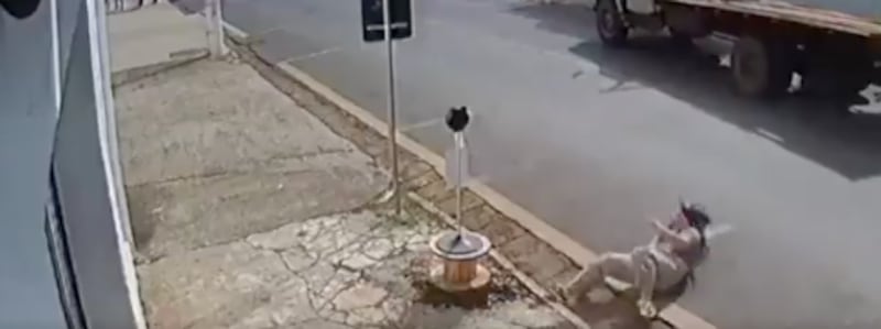 VIDEO: Mujer se lanzó de un taxi en movimiento para evitar pagar el viaje - Fuente: Video de X