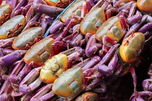 Disfruta estos platos con cangrejo antes de que inicie la veda