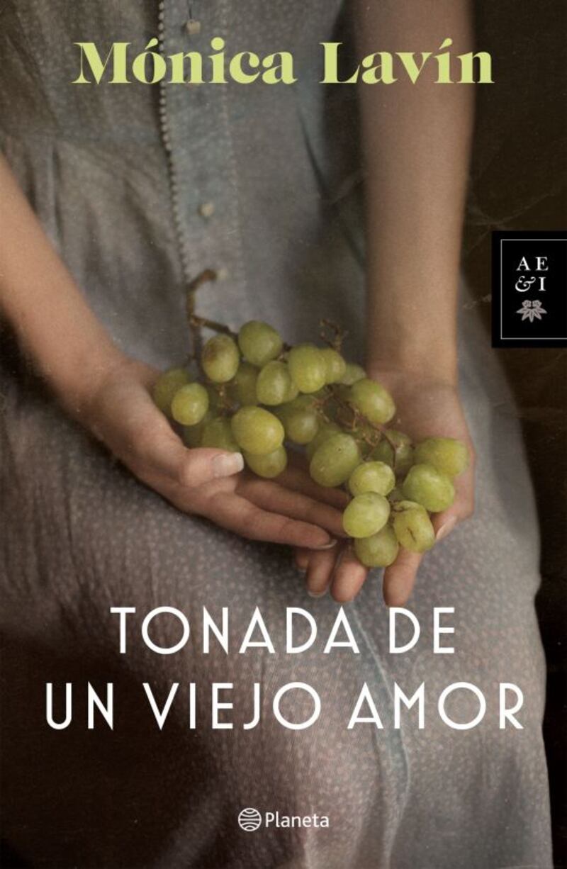 Tonada de un Viejo Amor de Mónica Lavín