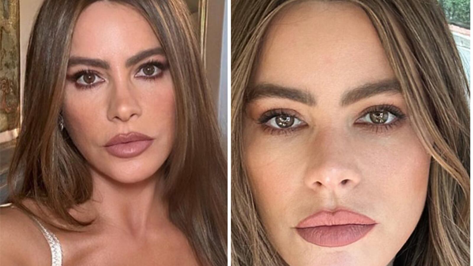 Este es el “papacito” que apoya a Sofia Vergara tras su divorcio.