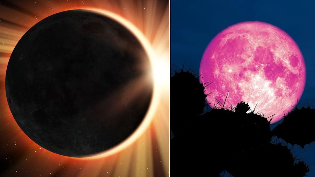 Eclipse, lluvia de estrellas y Luna Rosa: los eventos astronómicos que harán brillar el cielo en abril