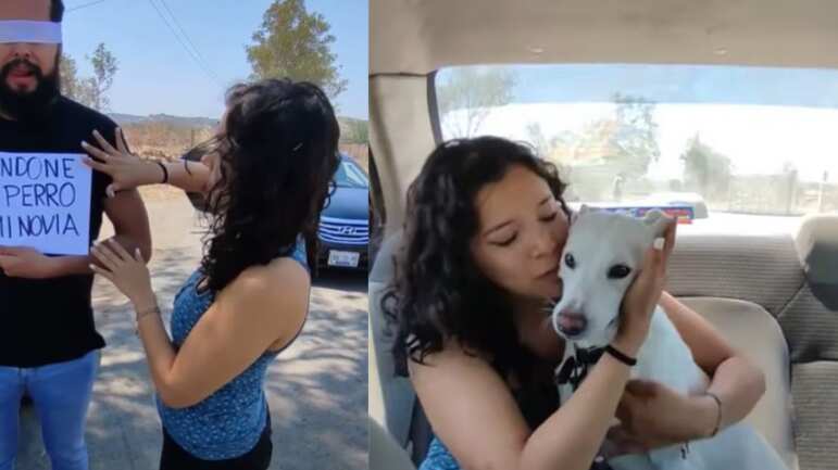 Abandonó al perro de su novia