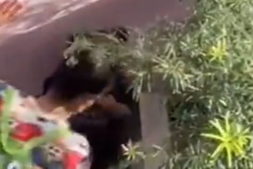 Detienen a maestra que obligó a niña de 2 años a comerse su vómito en guardería