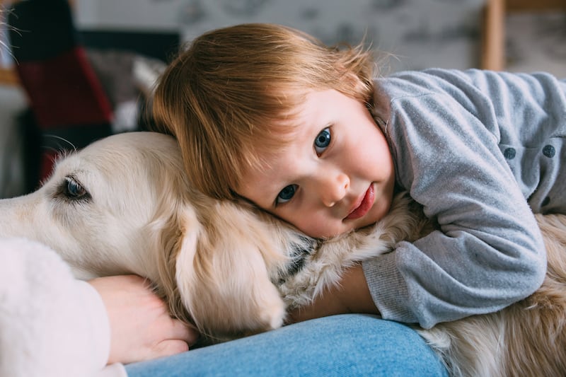 Niño junto a su perrito