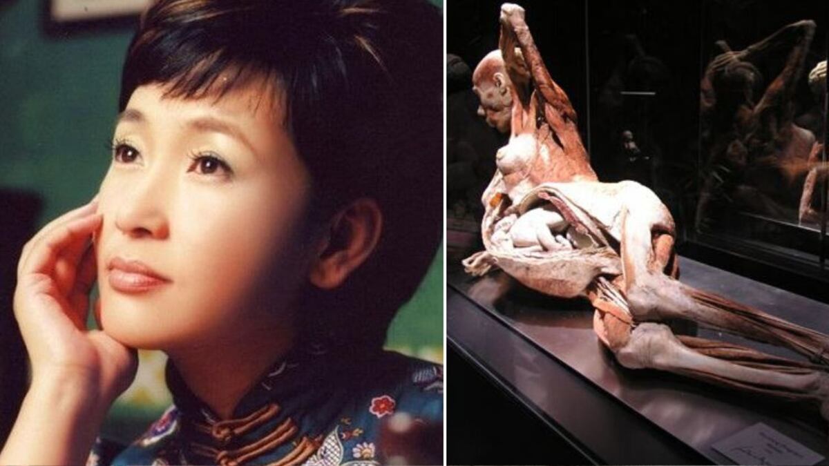 Fotos de Zhang Weijie y la escultura humana en Body Worlds que aseguran es ella