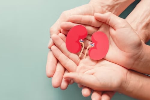 “Cada donante puede salvar hasta 8 vidas”: La importancia de la donación de órganos