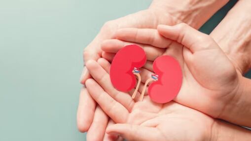 Cultura de donación en Ecuador