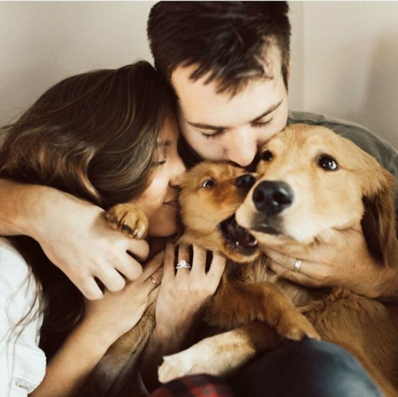 Familias interespecie