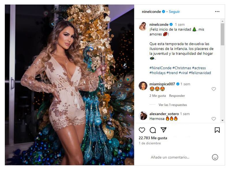 Ninel Conde junto a su árbol de Navidad