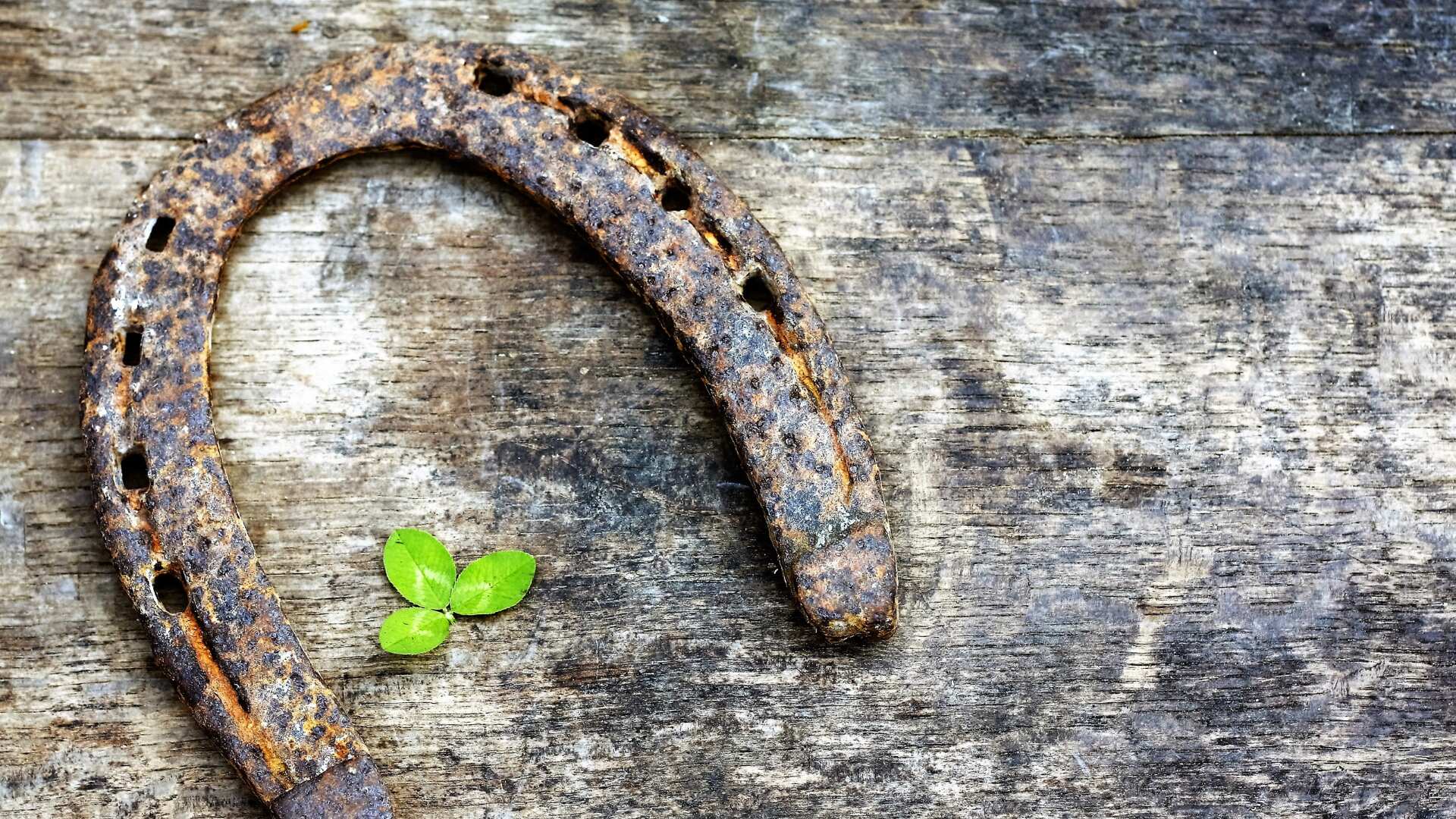Los amuletos de la suerte para cada signo del horóscopo chino
