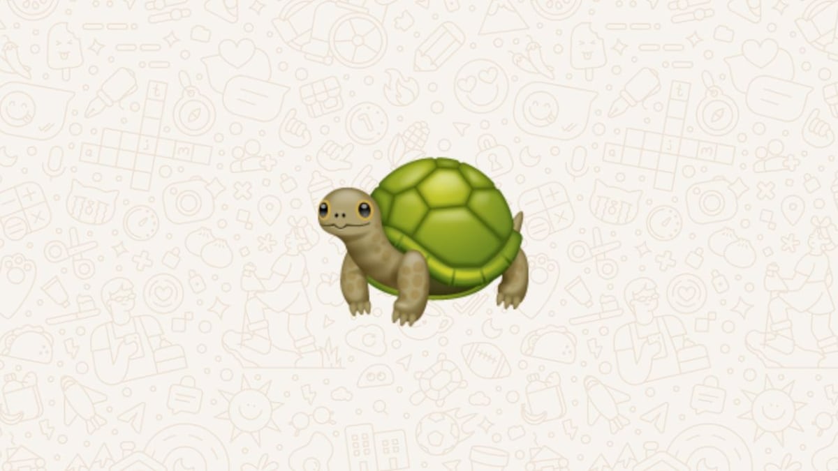 El significado del emoji de tortuga es desconocido para muchos