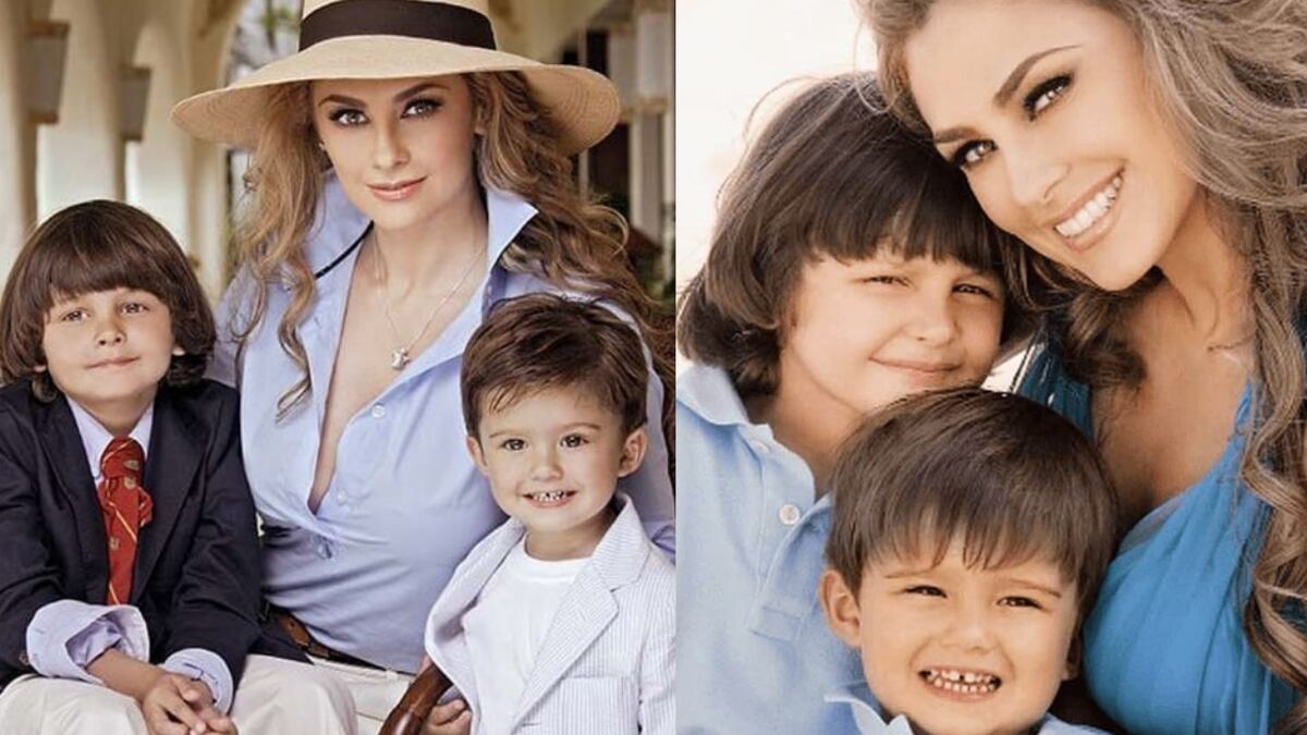 Hijos de Aracely Arámbula