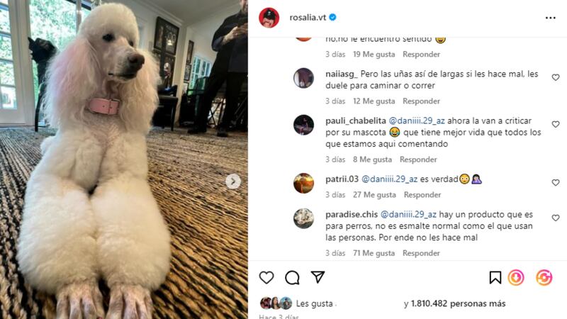 ¿Es maltrato animal? Rosalía desata debate tras presumir foto de su perrita con las uñas pintadas