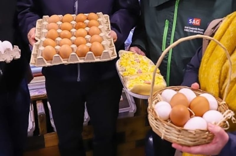 Huevos envasados para la venta en comercios chilenos.