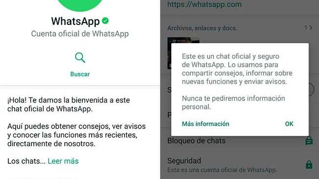 WhatsApp-chat-oficial