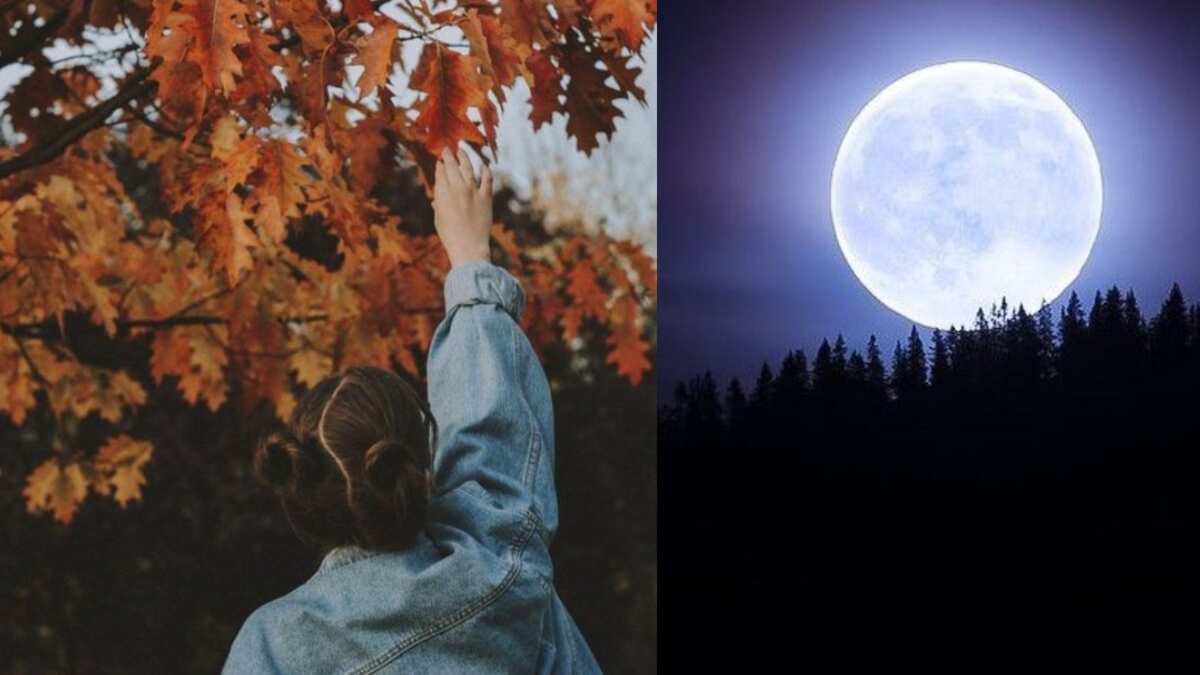 equinoccio de otoño 2021