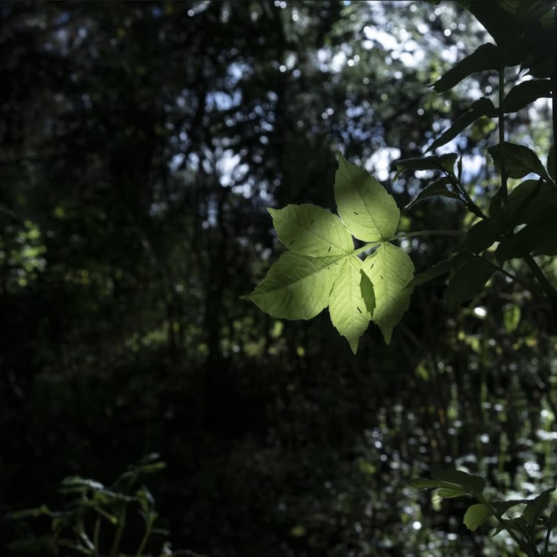 Fotografía de Isadora Romero