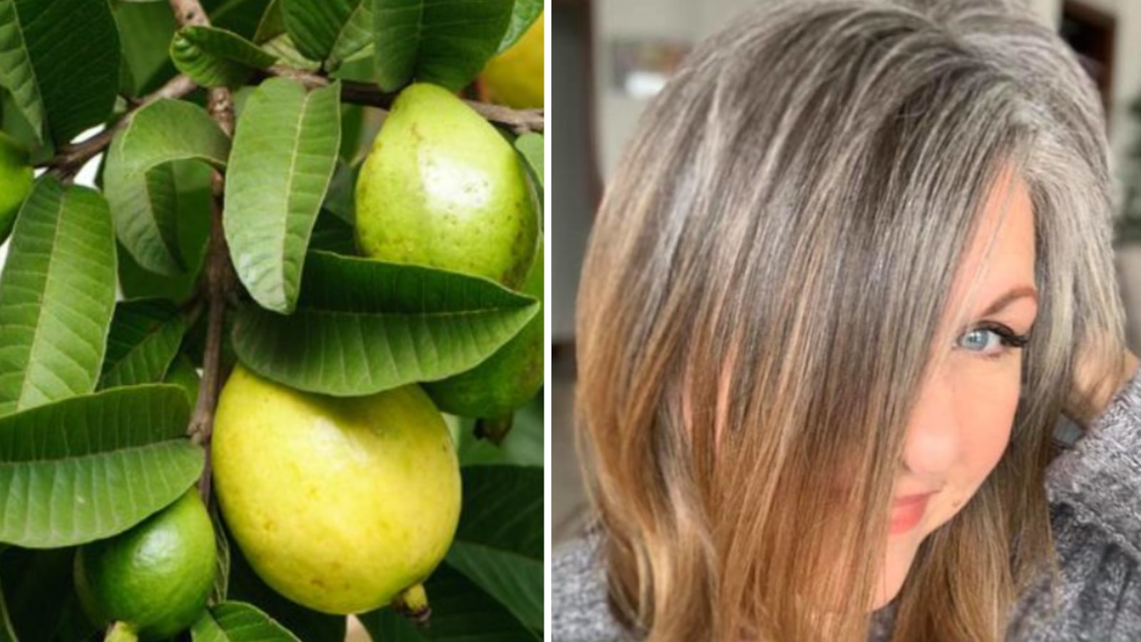 Agua de hojas de guayaba para el pelo