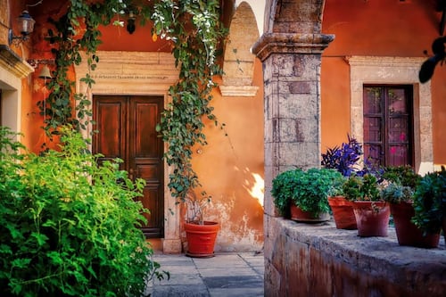 Plantas ideales para poner un toque mediterráneo en la casa