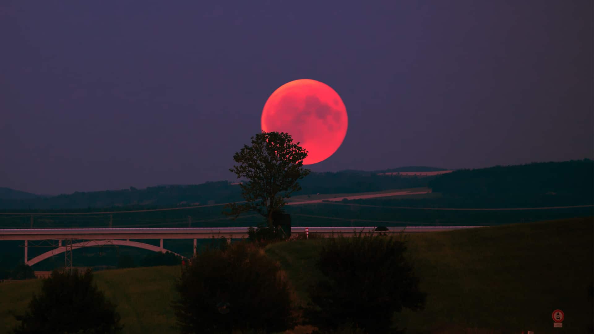 Lo que trae el eclipse de luna para cada signo del horóscopo chino