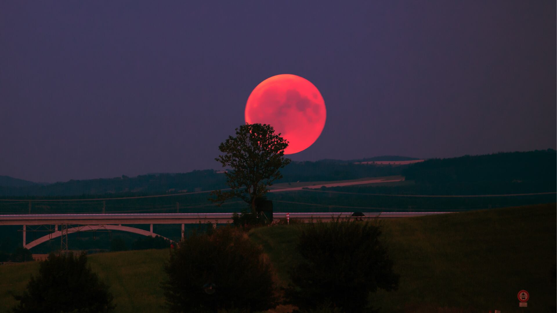 Lo que trae el eclipse de luna para cada signo del horóscopo chino