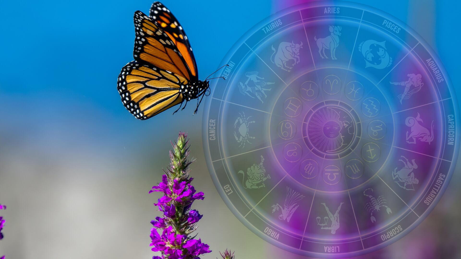 Cambios por la luna nueva