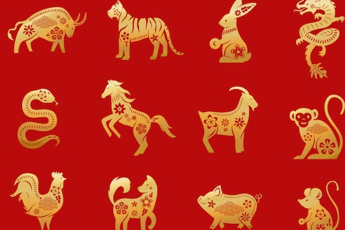 ¿Cómo influye en tu personalidad el animal que te tocó en el horóscopo chino?