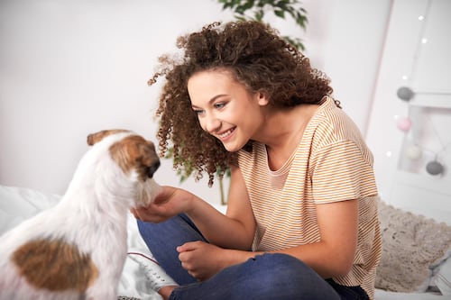 ¿Le hablas como bebé a tu perro? Tu voz puede enamorarlo más de lo que crees