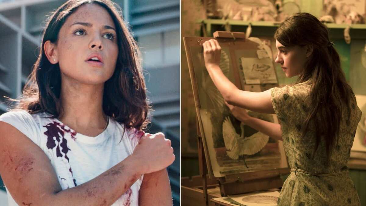 Escenas de Ambulancia y La chica salvaje