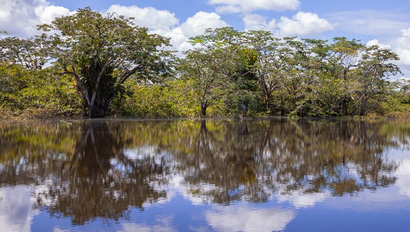 Reserva Cuyabeno