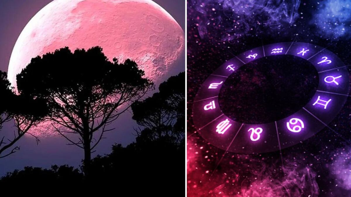 Tauro, Géminis, Leo, Libra y Capricornio, quienes derribarán muros y avanzarán hacia lo positivo y el dinero