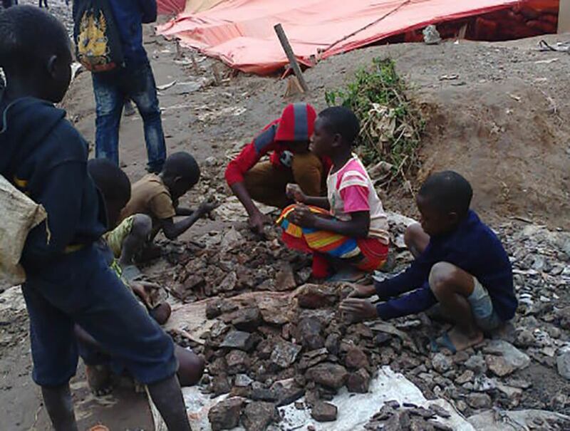 Niños clasifican cobalto