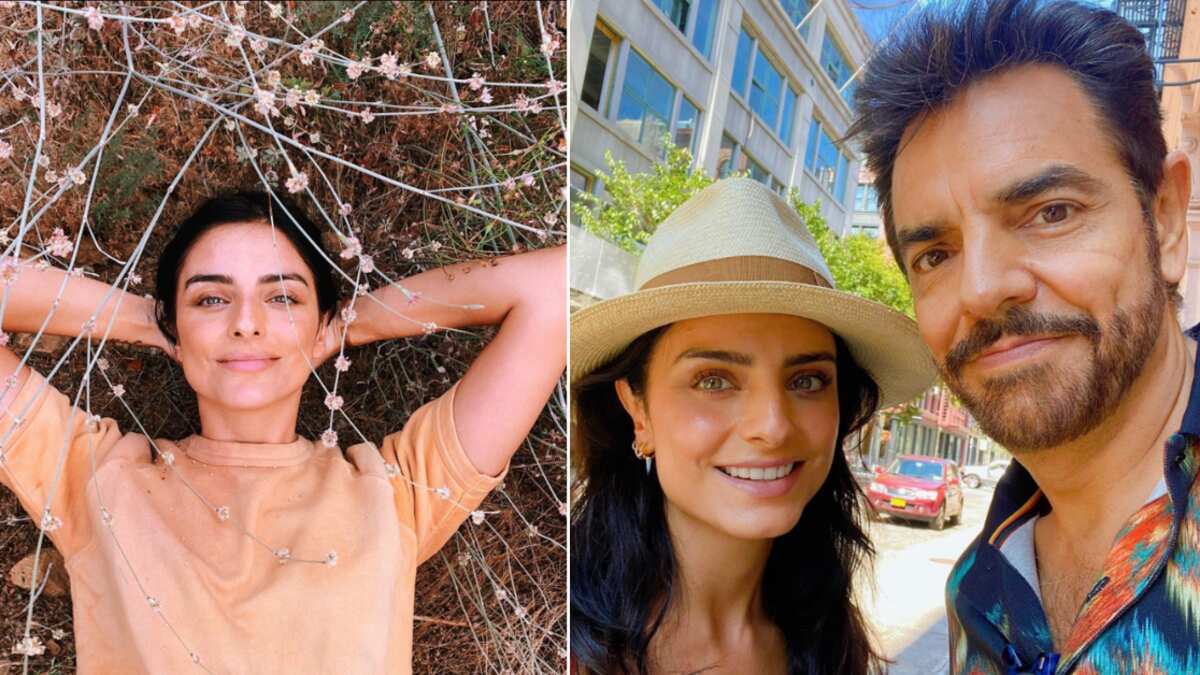 Los trabajos de Aislinn Derbez antes de la actuación