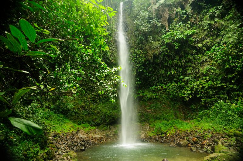 Cascada Hola Vida / Foto de BOKESORGIN
