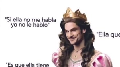 Definición de princeso