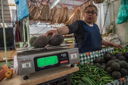 El precio del aguacate se dispara, podría alcanzar los 150 pesos por kilo