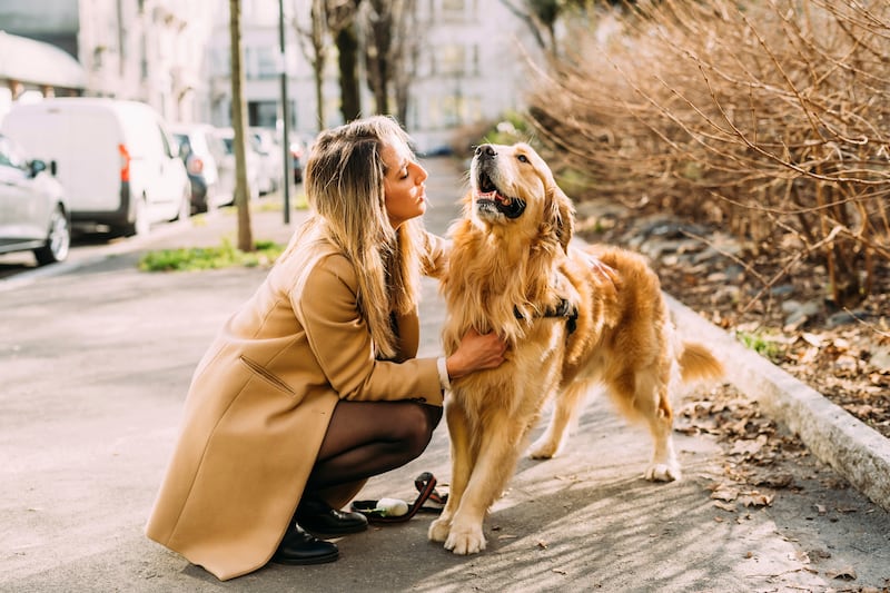 Hablarle como bebé a un perro