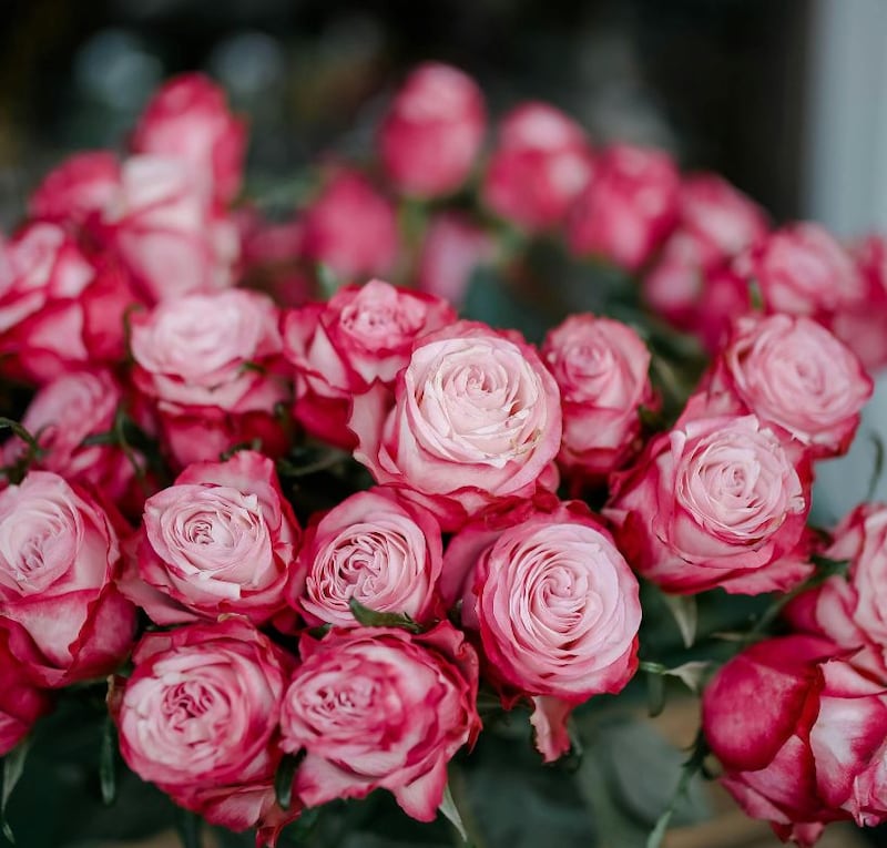 Precio de las flores se eleva en el día de las madres.