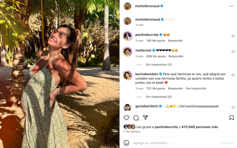 Michelle Renaud embarazada