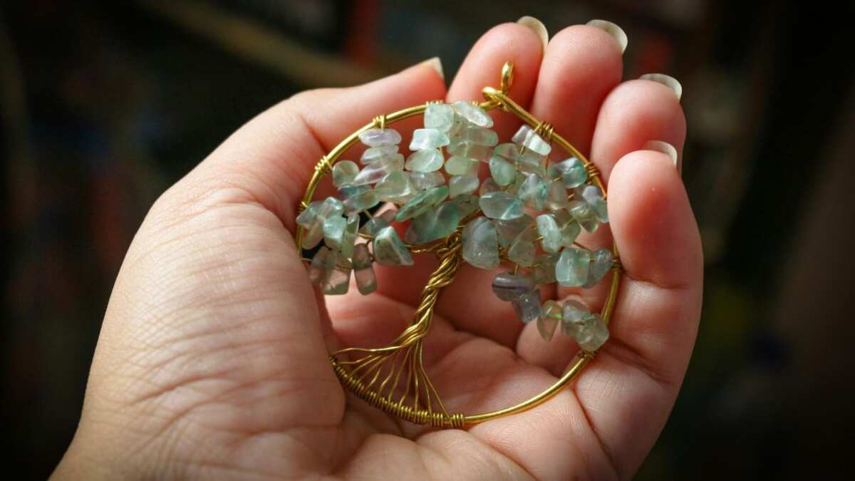 El árbol de la vida es un gran amuleto protecto de acuerdo al feng shui