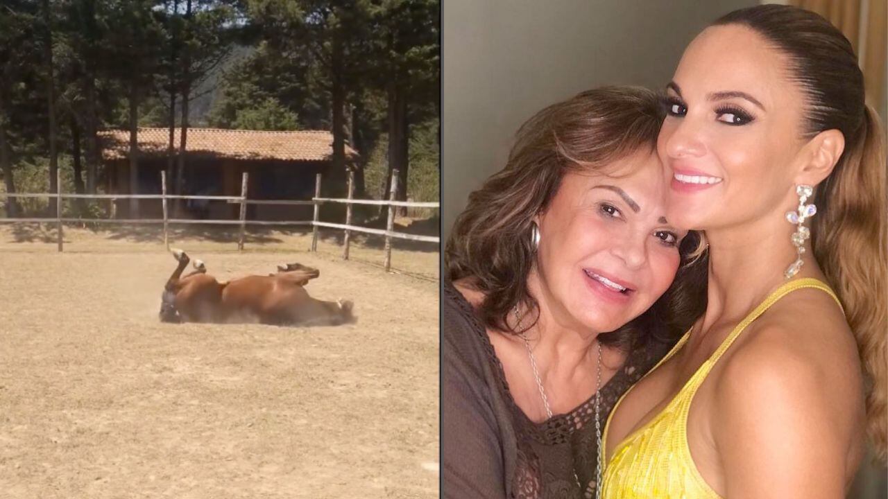 La cantante realizó una constelación con caballos en la que su mamá le habló a través del animal.