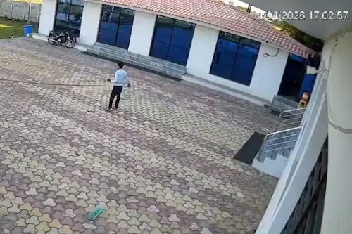 Trabajador de un hotel intentaba ahuyentar a un mono del techo y terminó electrocutado