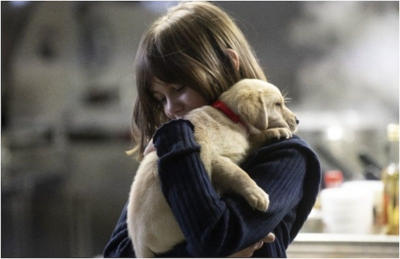 A Sudden Case of Christmas