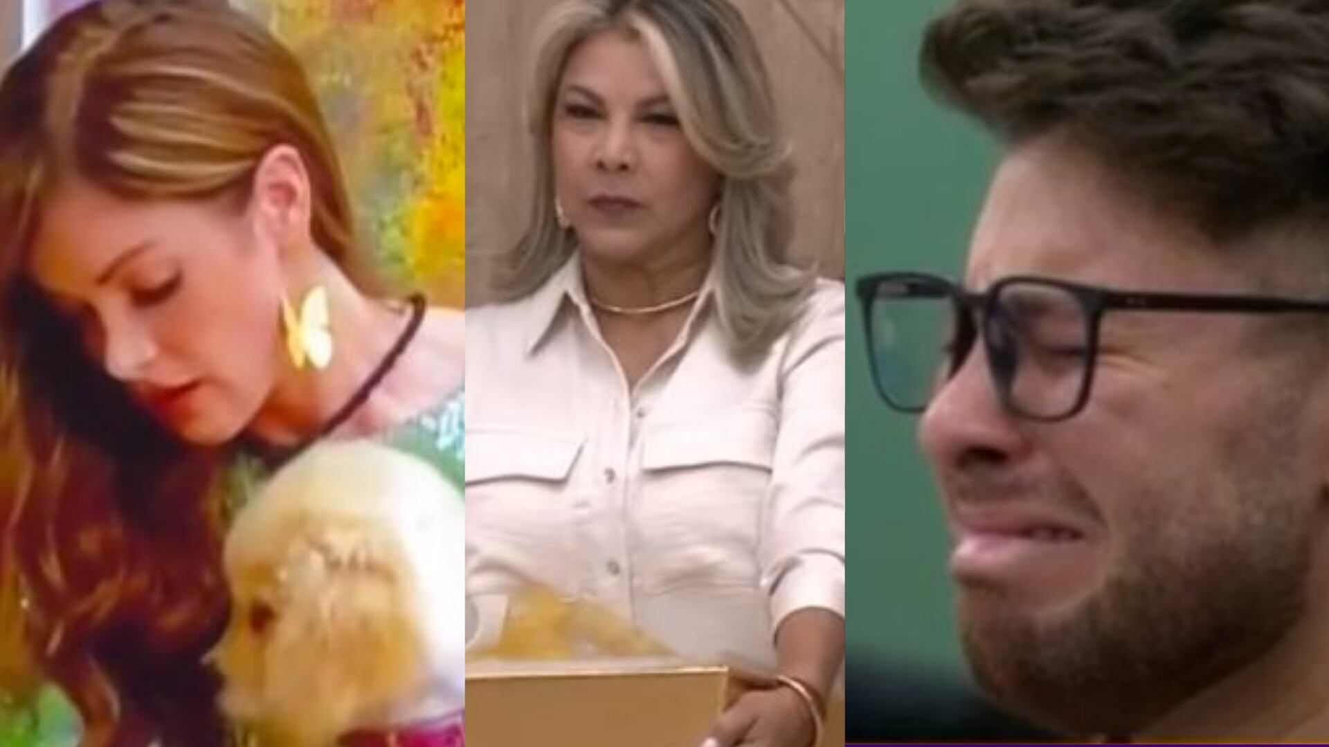 La casa de los famosos