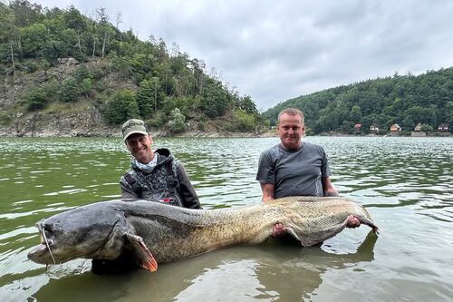 El impactante bagre gigante de casi tres metros que capturó un hombre en República Checa