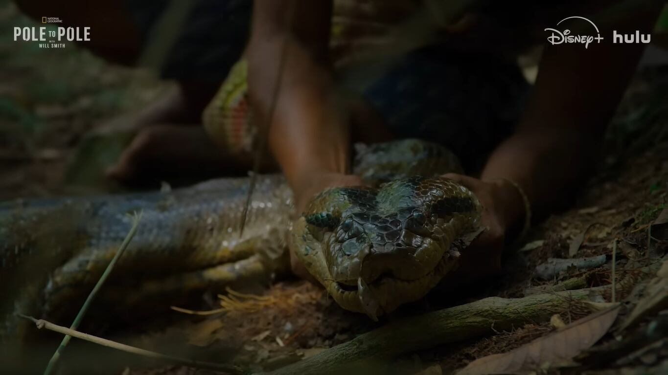Captura de pantalla: National Geographic