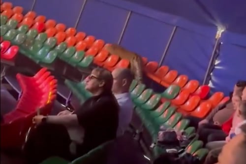 VIDEO: Tigre salta hacia el público en presentación de circo en Rusia