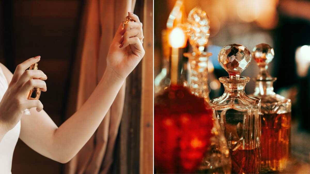 Los perfumes ideales para otoño son cálidos, acogedores y fascinantes