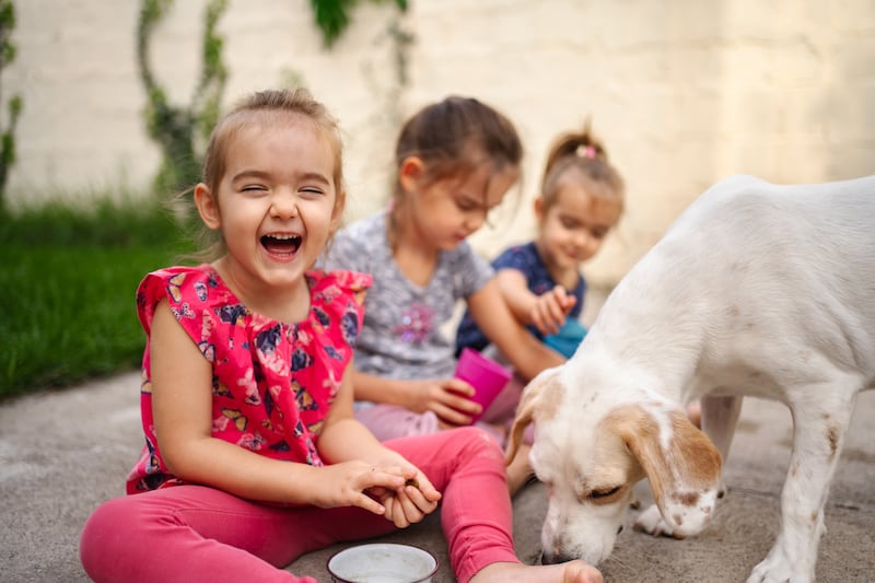 Niños y animales