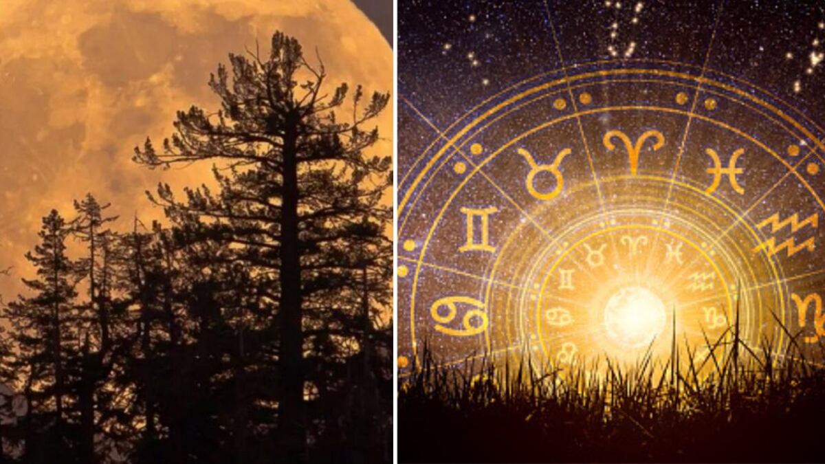 Tauro, Leo, Libra, Sagitario y Acuario tienen unos días maravillosos para que todo sea exitoso